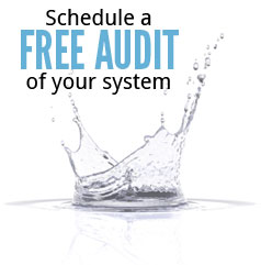 free audit